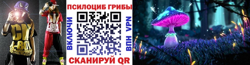 даркнет сайт  Гаврилов Посад  Псилоцибиновые грибы Psilocybe 
